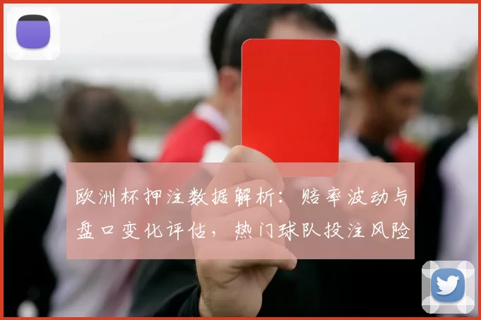 欧洲杯押注数据解析：赔率波动与盘口变化评估，热门球队投注风险与看点