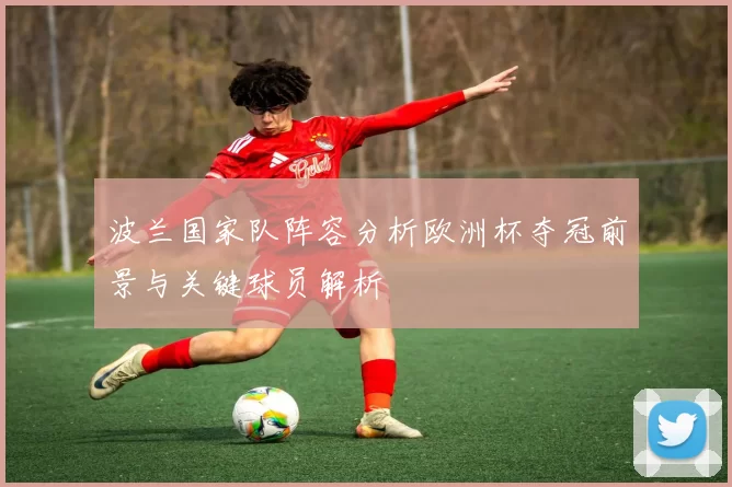 波兰国家队阵容分析欧洲杯夺冠前景与关键球员解析