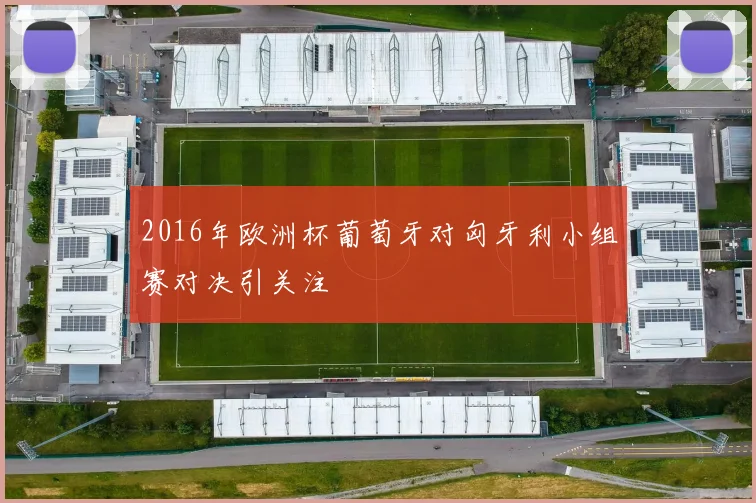 2016年欧洲杯葡萄牙对匈牙利小组赛对决引关注