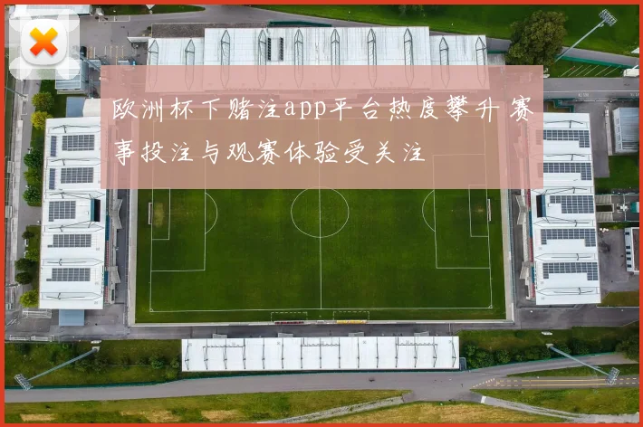欧洲杯下赌注app平台热度攀升 赛事投注与观赛体验受关注