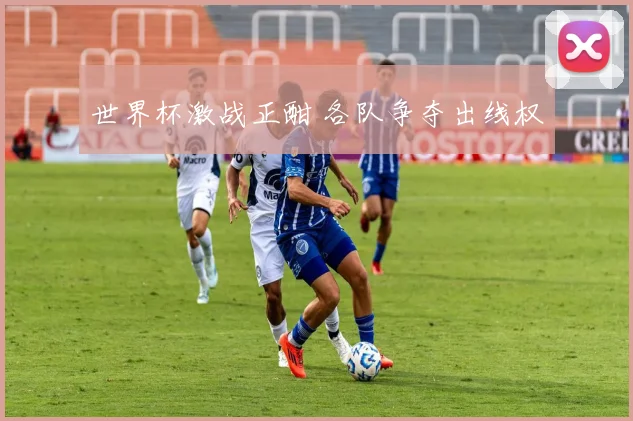 世界杯激战正酣 各队争夺出线权