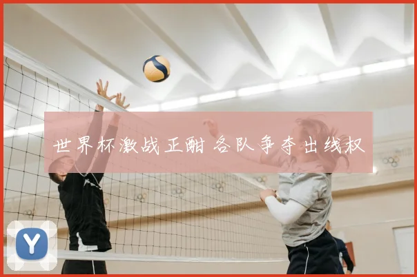 世界杯激战正酣 各队争夺出线权