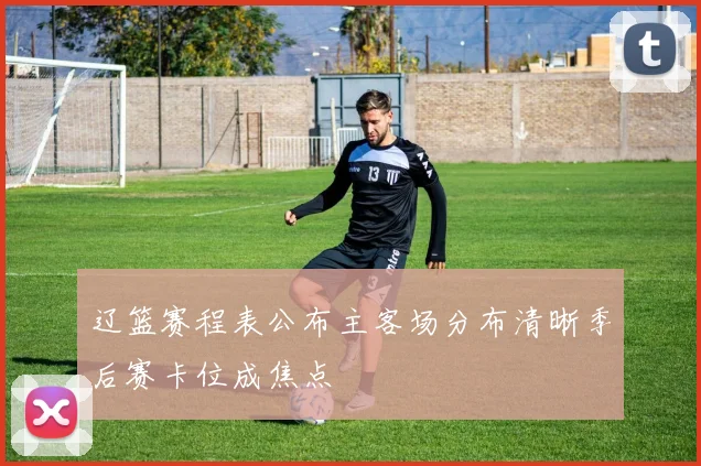 辽篮赛程表公布主客场分布清晰季后赛卡位成焦点